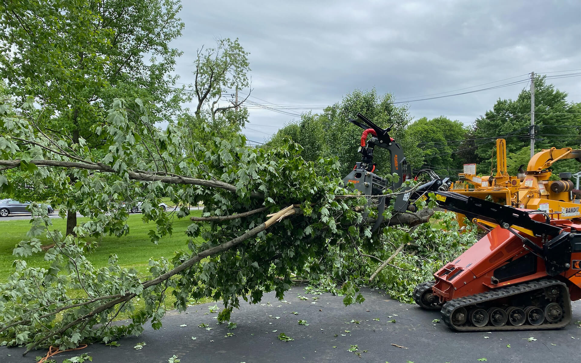 Emergency Storm Damage Tree Removal NJ
