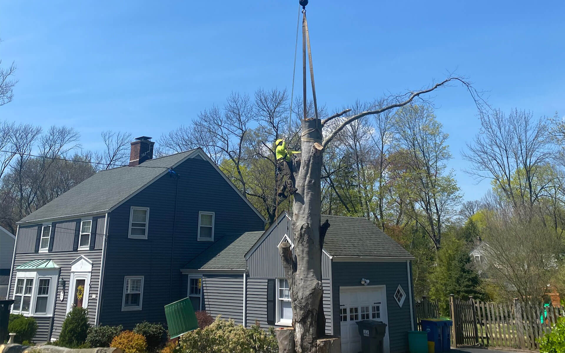 Somerset, Morris County NJ Tree Removal Services