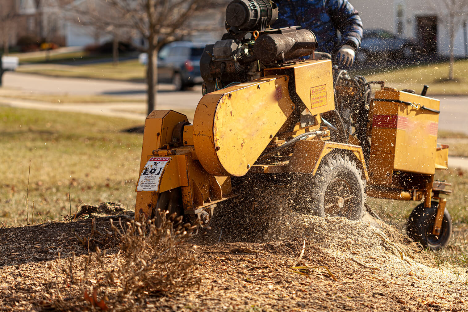 Understanding Stump Grinding and Its Importance in New Jersey - Arbor ...