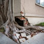 STRUCTURAL DAMAGE